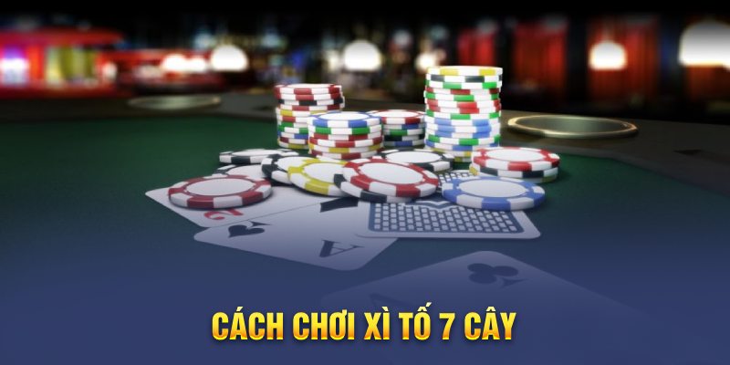 Khám phá các quy định về nước bài